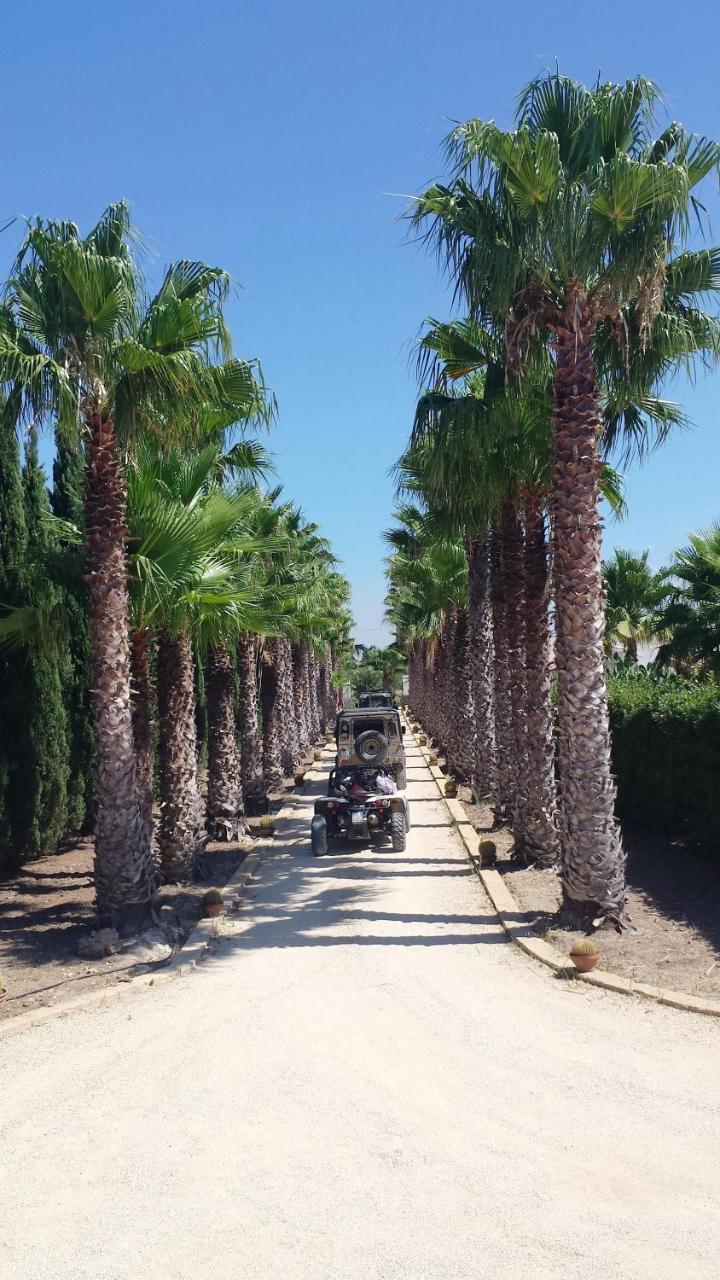 Camping A Selinunte Ξενοδοχείο Marinella di Selinunte Εξωτερικό φωτογραφία